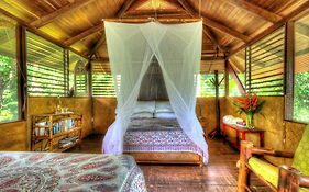Iguana Lodge Beach Resort